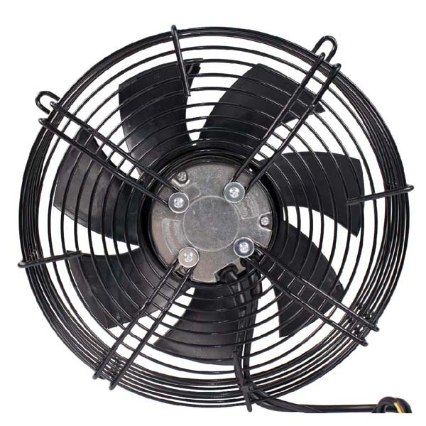 Great Air Circulation