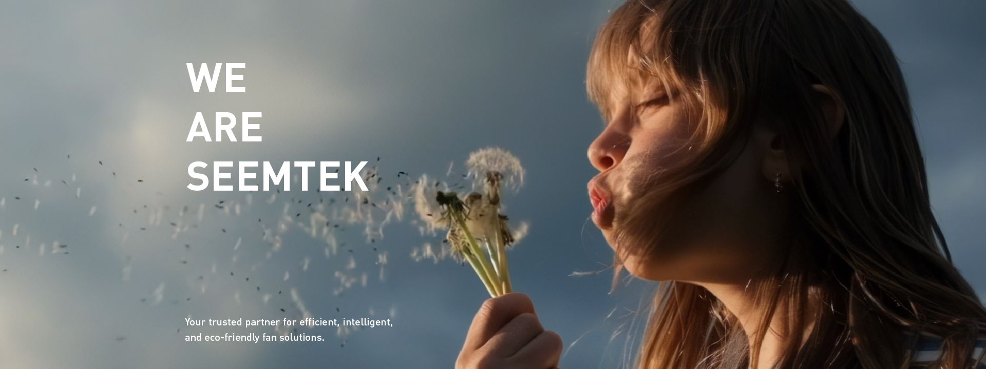 About Us